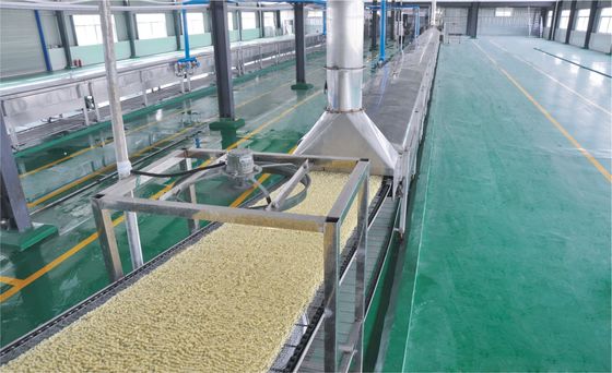 China 304 Sus niet - Gebraden Onmiddellijke Noedel die Machine voor Voedselverwerking maken leverancier