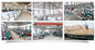 Efficiënte Commerciële Noedelmachine, de Organische Chinese Machine van de Noedelsinstallatie leverancier