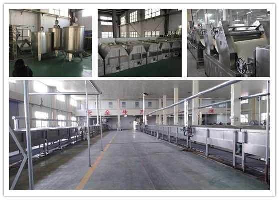 China Strook Volledige Automatische Noedel die Machinelijn maken die Tarwe/Graanbloem Gebraden Noddle maken leverancier