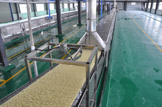 Het elektrische Tarwemeel braadde het Onmiddellijke Materiaal van de Noedelproductielijn leverancier